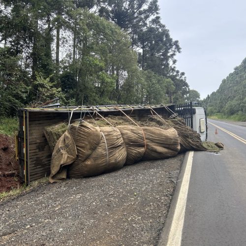Caminhão perde o controle e tomba na região