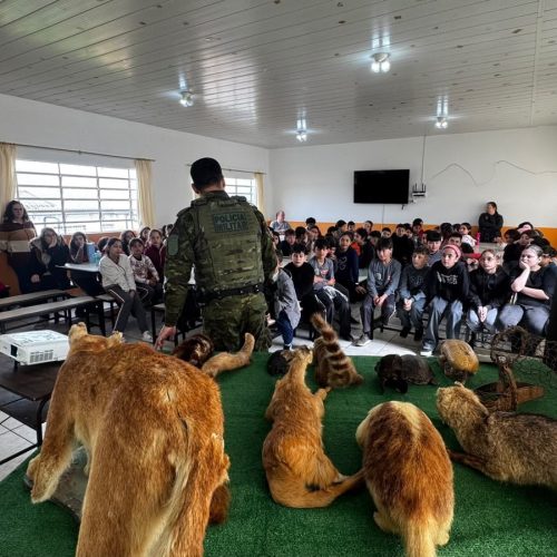 Programa Ambientando leva educação ambiental a 218 alunos em Carambeí