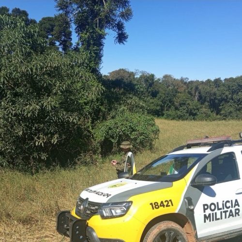 Proprietário é multado em R$ 35 mil por descumprir embargo ambiental na região