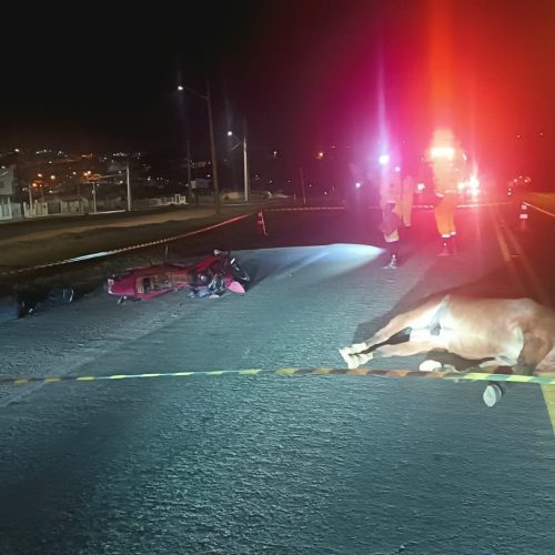 Motociclista morre após colisão com cavalo na PR-151