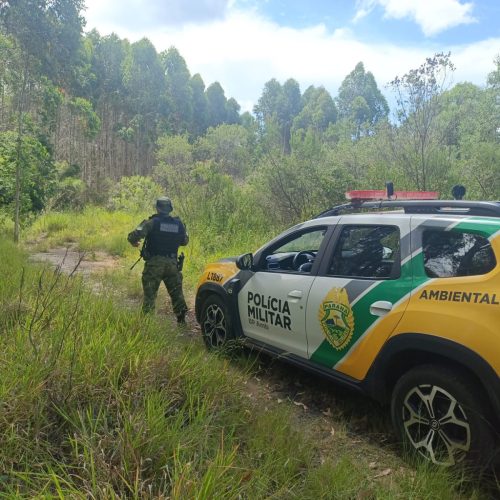 Caça ilegal leva à prisão e apreensão de arma de fogo&nbsp;na região