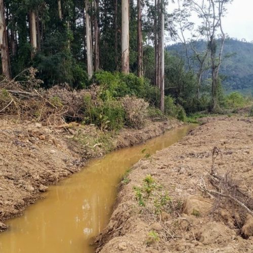 Polícia Ambiental autua proprietários por crimes ambientais na região
