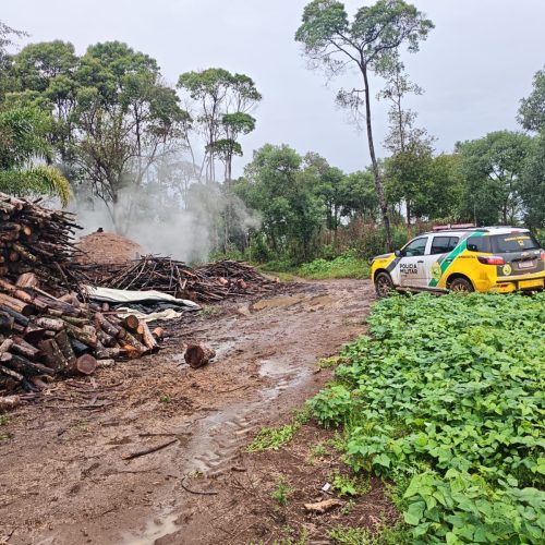 Polícia Ambiental flagra produção irregular de carvão vegetal na região