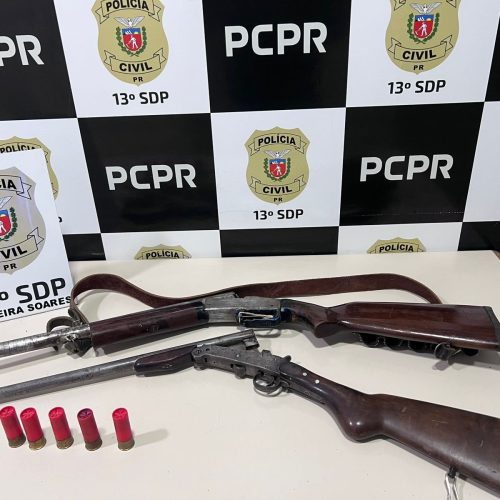 Polícia apreende armas de fogo durante operação de combate à violência doméstica na região