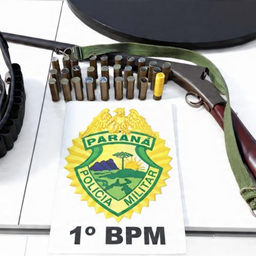 PM atende ocorrência de violência doméstica e apreende arma de fogo em Carambeí