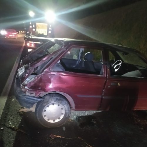 Acidente em rodovia entre Carambeí e Castro deixa condutor ferido