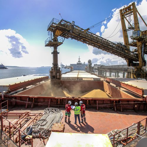 Portos do Paraná batem recorde histórico no primeiro semestre de 2024