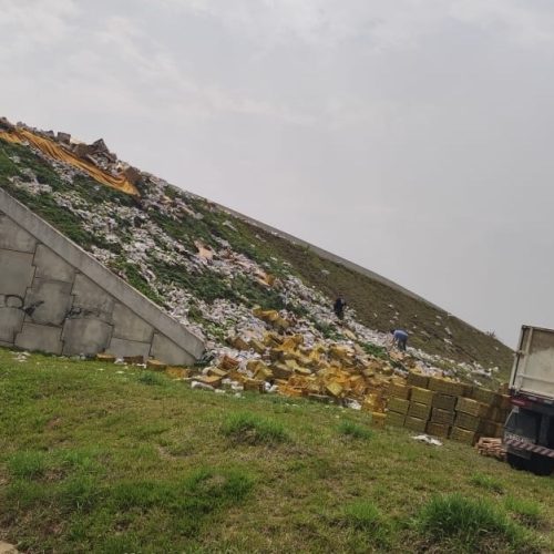 Caminhão colide com viaduto e derrama carga de mamão na PR-151