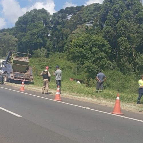 Capotamento na PR-151 deixa mulher ferida em Carambeí