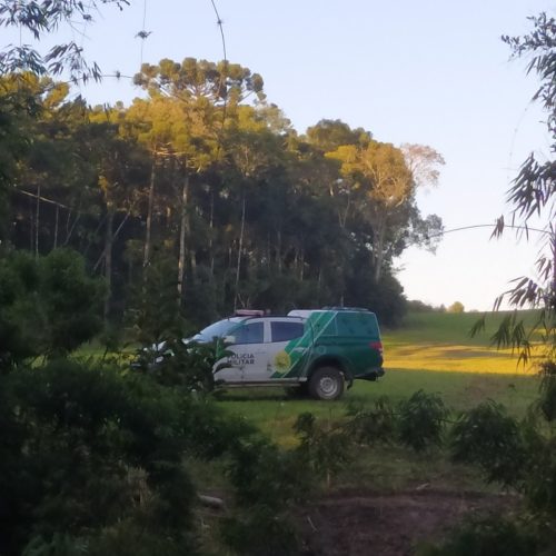 Polícia Ambiental aplica multa de R$ 109 mil por desmatamento na região
