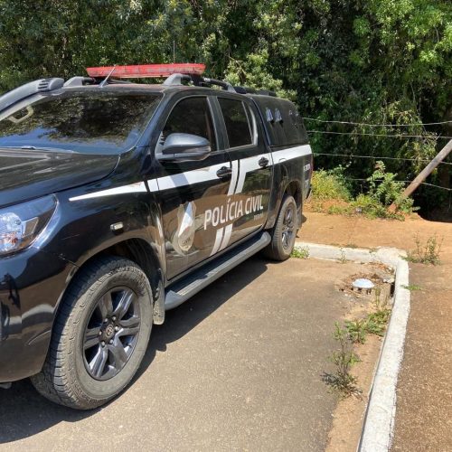 Polícia Civil prende autor de furtos na região&nbsp;