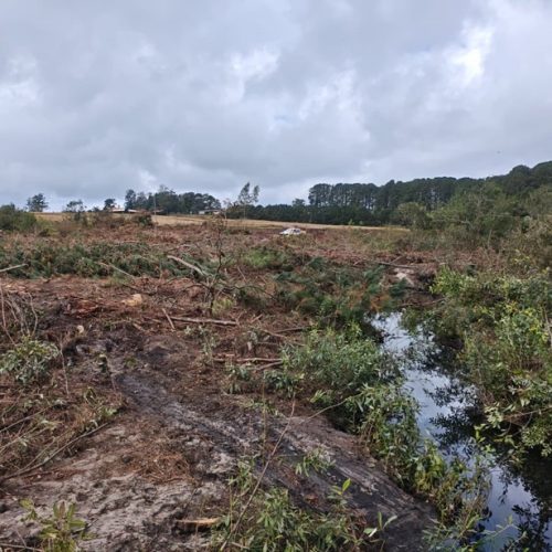 Polícia Ambiental aplica multa de R$ 260 mil por dano ambiental na região