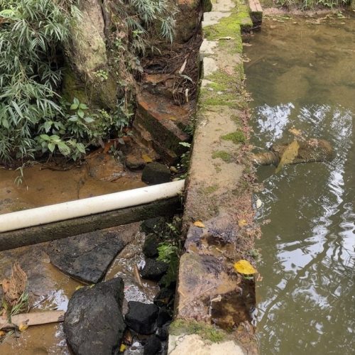 Polícia Ambiental autua dano em área de preservação permanente&nbsp;na região