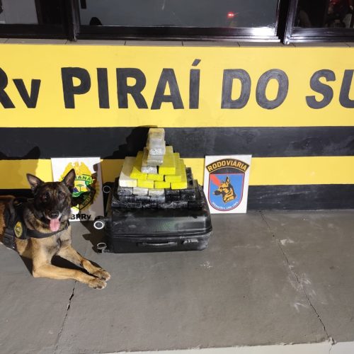 Polícia Rodoviária apreende mais de 20 kg de maconha em ônibus na PR-151