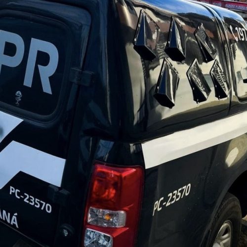 Polícia Civil prende homem com múltiplas passagens pelo crime de furto na região