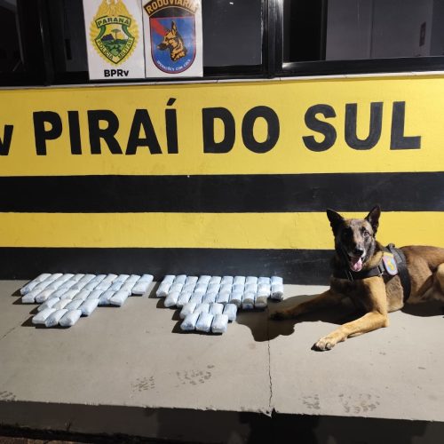 Duas mulheres são presas com mais de 14 kg de haxixe em ônibus na PR-151