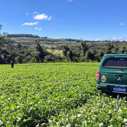 Polícia Ambiental embarga quase 10 hectares de mata nativa na região