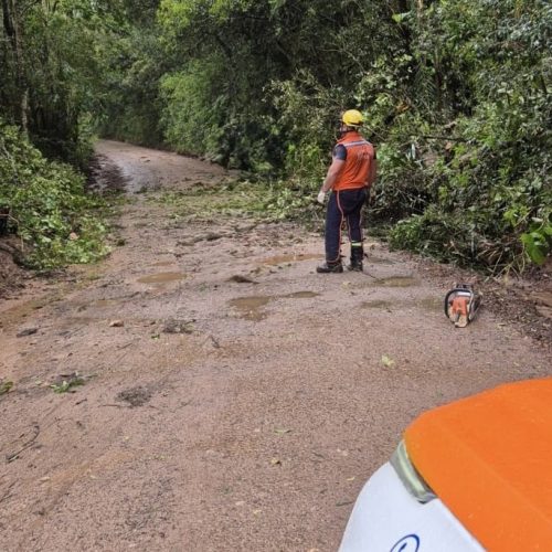 Temporal com vento forte e trovoadas assusta moradores em Carambeí
