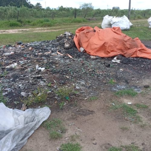 Polícia Ambiental autua responsável por crime ambiental na Vila Mariane em Carambeí&nbsp;