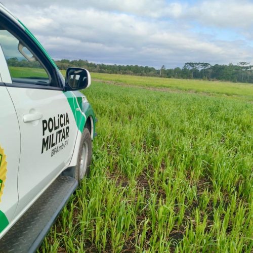 Desmatamento ilegal na região gera multa de R$ 157 mil