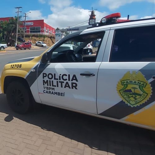 Homem em atitude suspeita acaba preso em Carambeí