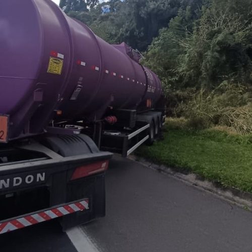Motorista sofre mal súbito após ataque de abelhas e caminhão atinge barranco na PR-151