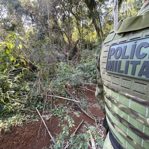 Polícia Ambiental autua proprietários por destruição de vegetação nativa na região