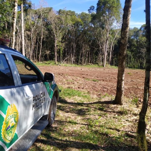 Polícia Ambiental autua proprietário por desmatamento irregular de floresta nativa na região