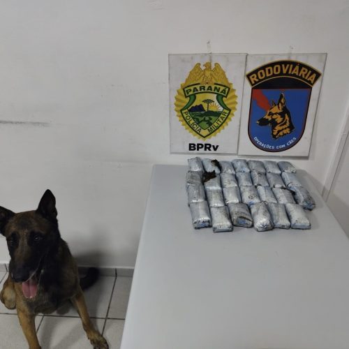 Mulher é presa na PR-151 transportando mais de 5 kg de haxixe em ônibus