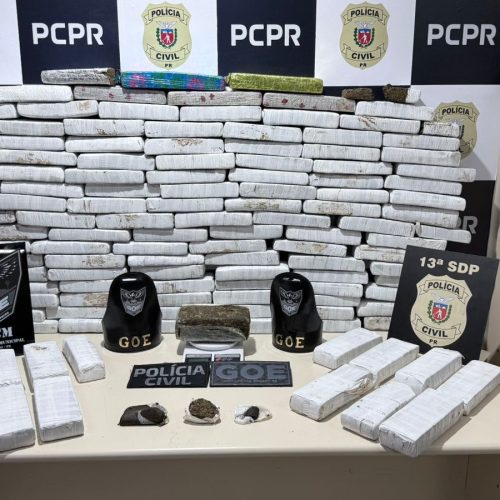 Ação conjunta apreende cerca de 100 quilos de drogas em residência na região