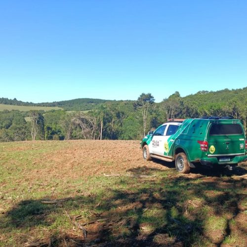 Polícia Ambiental constata desmatamento irregular e aplica multa na região