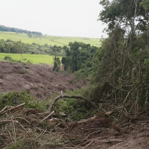 Polícia Ambiental aplica mais de R$ 450 mil em multas por desmatamento na região