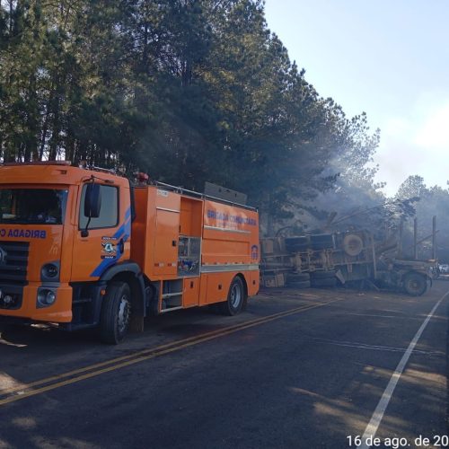 Caminhão carregado com toras de pinus tomba&nbsp;na região