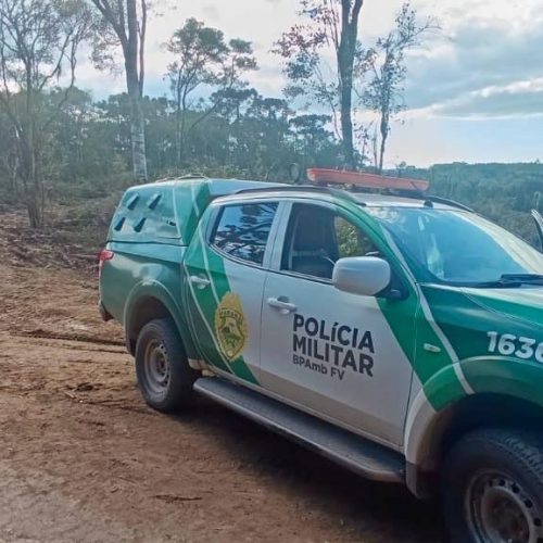 Polícia Ambiental combate pesca predatória e desmatamento ilegal na região&nbsp;