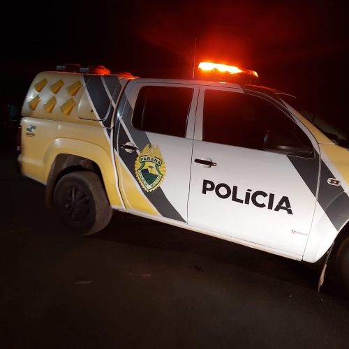 Filho é preso por agredir a própria mãe em Carambeí