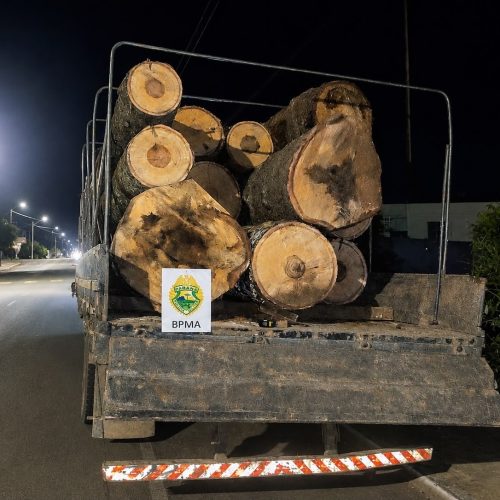 Polícia Ambiental apreende carga ilegal de toras de araucária na região