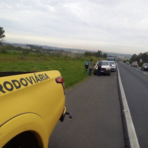 Dois veículos se envolvem em colisão traseira na PR-151, em Carambeí