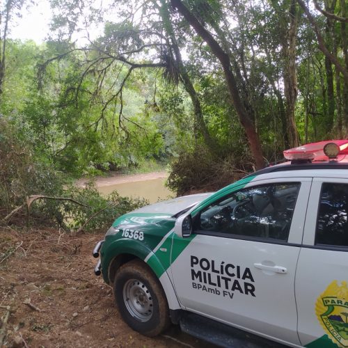 Polícia Ambiental autua desmatamento irregular em área protegida na região