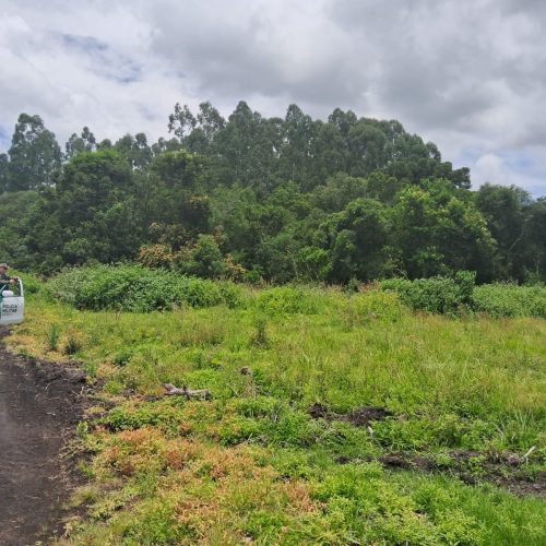 Polícia multa proprietário por desmatamento em área protegida&nbsp;na região