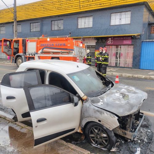 Incêndio em veículo mobiliza Defesa Civil em Carambeí