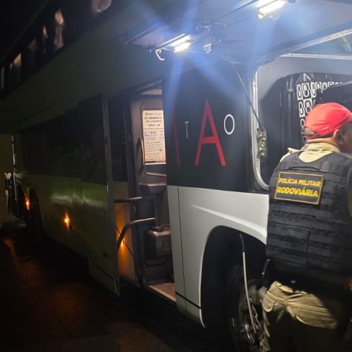 Cães da Polícia Rodoviária localizam skunk em ônibus na PR-151
