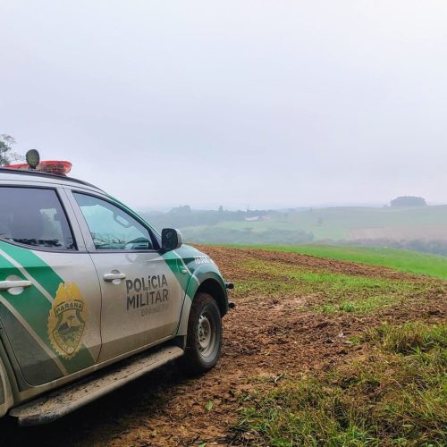 Polícia Ambiental flagra desmatamento ilegal de mais de 3 hectares na região
