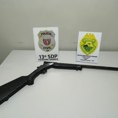 Polícia identifica suspeitos de maus-tratos contra gato na região