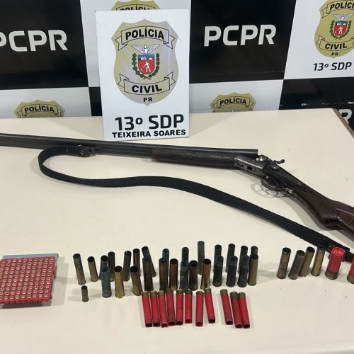 Polícia Civil prende homem por posse ilegal de arma na região