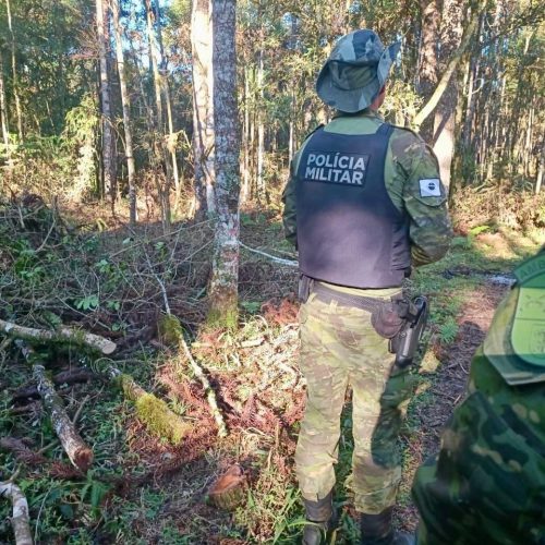 Polícia Ambiental autua proprietário em mais de 200 mil na região