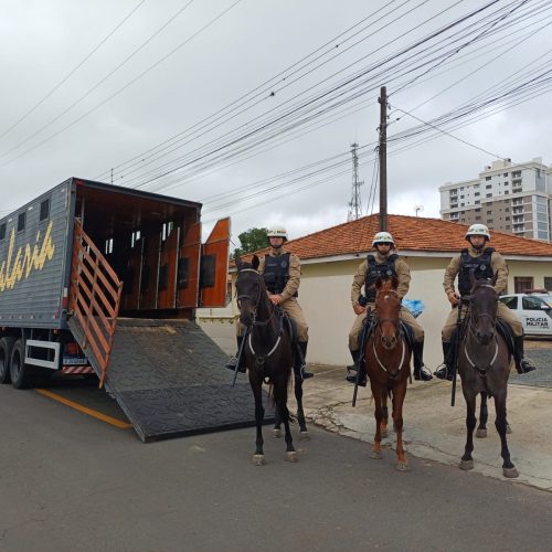Carambeí recebe reforço no policiamento com apoio da Cavalaria&nbsp;