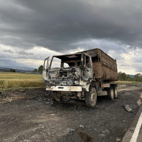 Caminhão pega fogo em rodovia da região