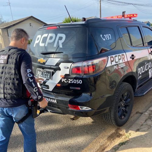 Polícia Civil apreende mais de 11 quilos de drogas e prende homem em flagrante na região
