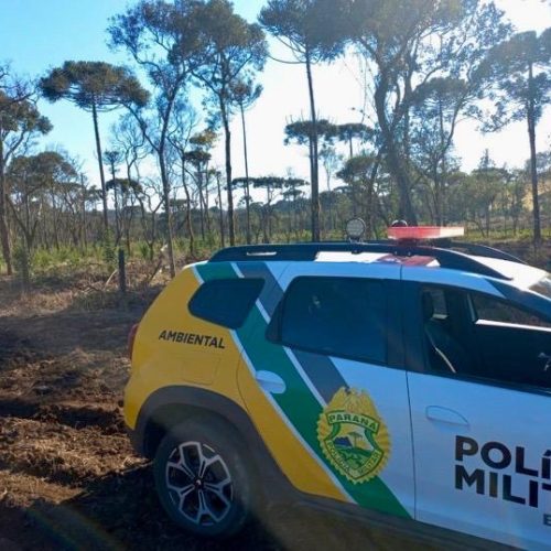 Polícia Ambiental autua proprietário por desmatamento ilegal na região