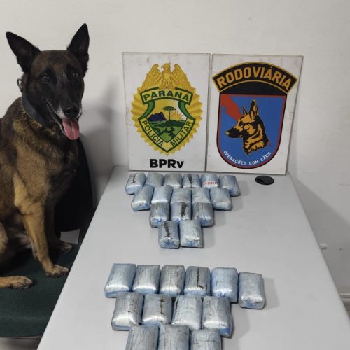 Polícia apreende mais de 6,8 kg de haxixe em ônibus na PR-151